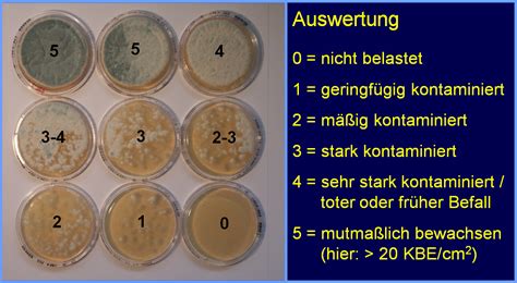 Suchergebnis Auf Amazon.de Für: Schimmel Messen